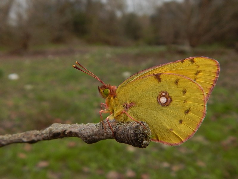 Parco del Ticino 1/11/13